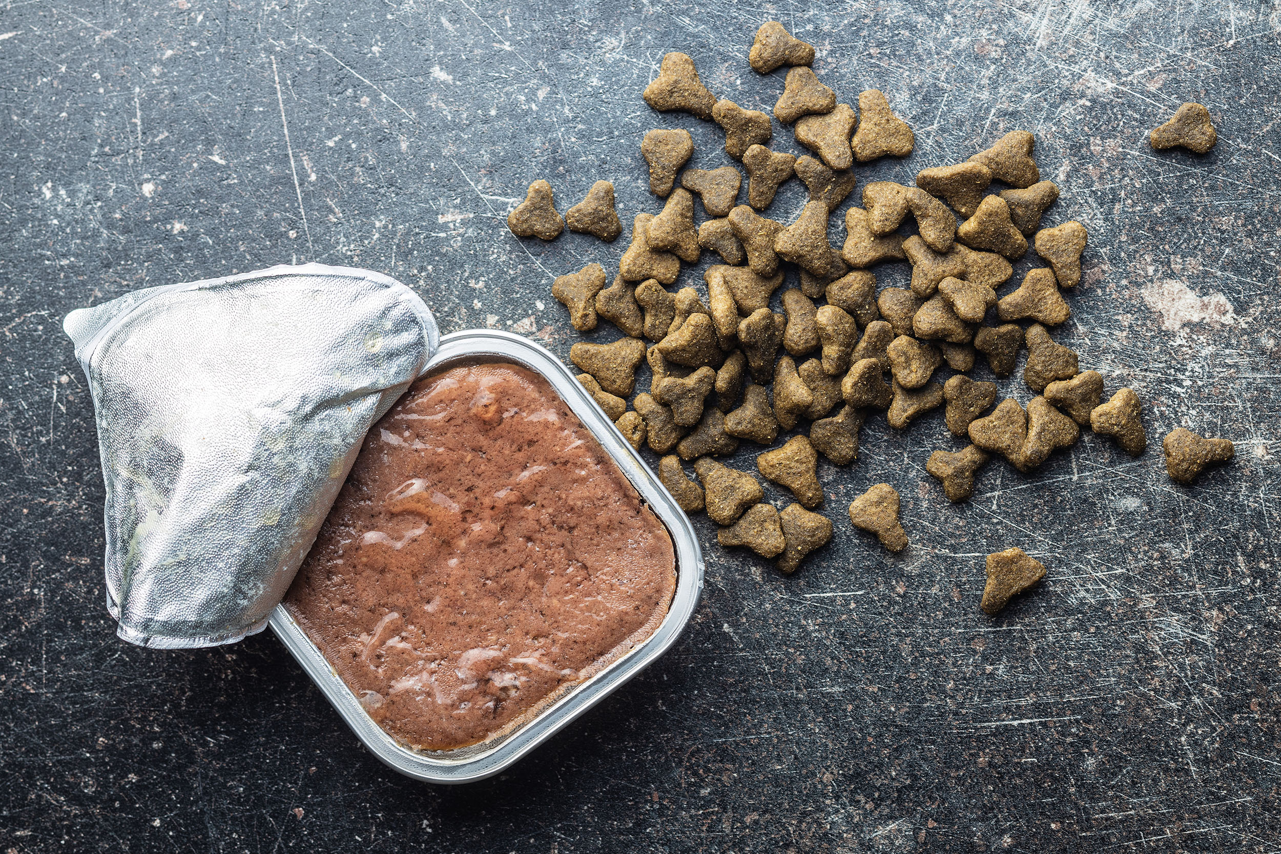 Dry Dog Food or Canned Food? Which is better?