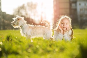 How to help kids deal with the death of a pet