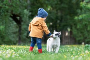 Why Your Kids Should Have A Pet