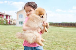 How to help kids deal with the death of a pet