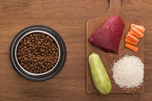 Why your dog needs fiber in his diet